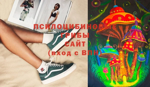 хмурый Горно-Алтайск