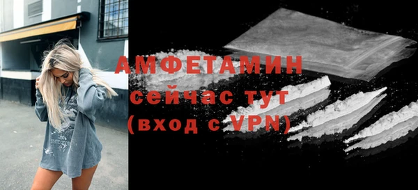 гидра Горняк