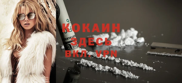 гидра Горняк