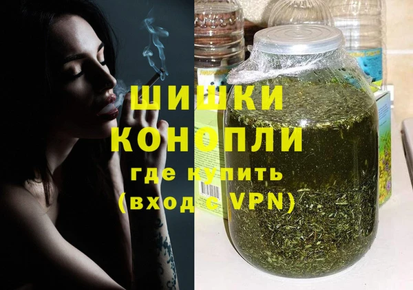 гидра Горняк