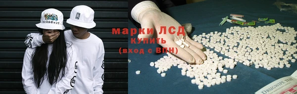 гидра Горняк