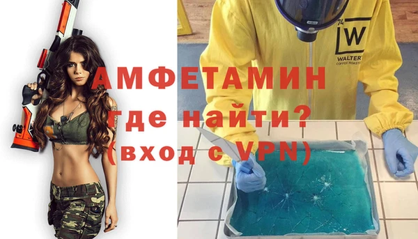 гидра Горняк