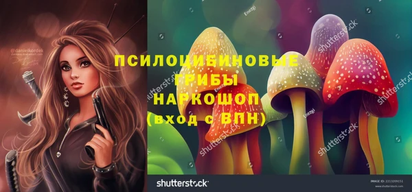 гидра Горняк