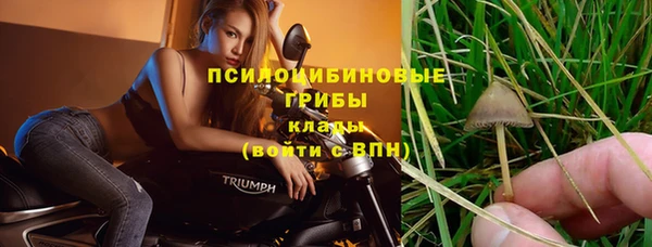 гашиш Горнозаводск
