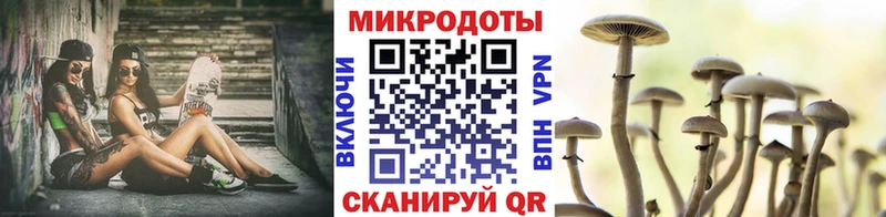 дарнет шоп  Фрязино  Галлюциногенные грибы MAGIC MUSHROOMS 