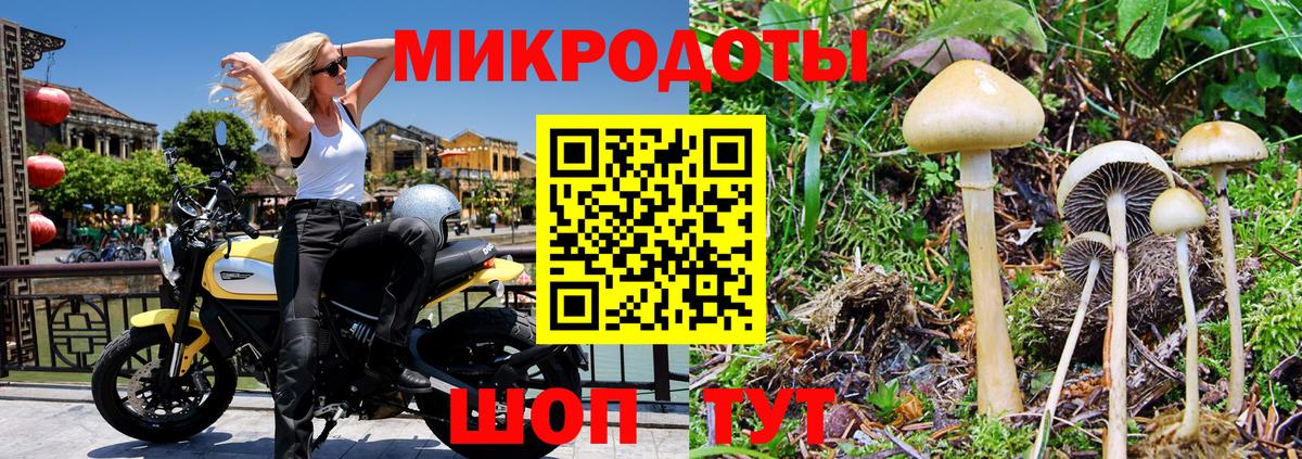 Фрязино  закладка  Вход с VPN  Псилоцибиновые грибы мухоморы 