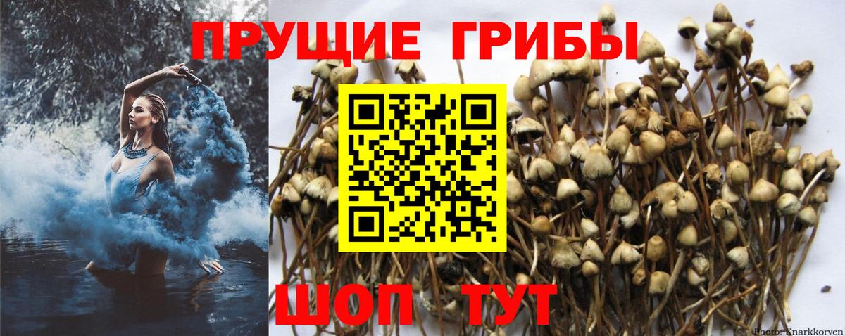 Галлюциногенные грибы ЛСД Фрязино